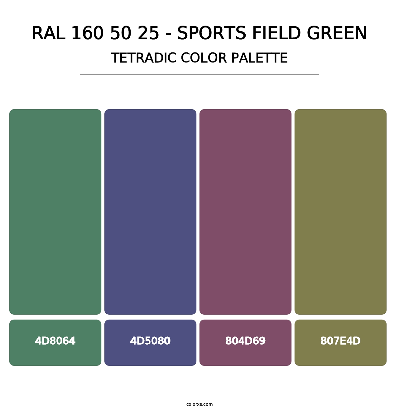 RAL 160 50 25 - Sports Field Green - Tetradic Color Palette