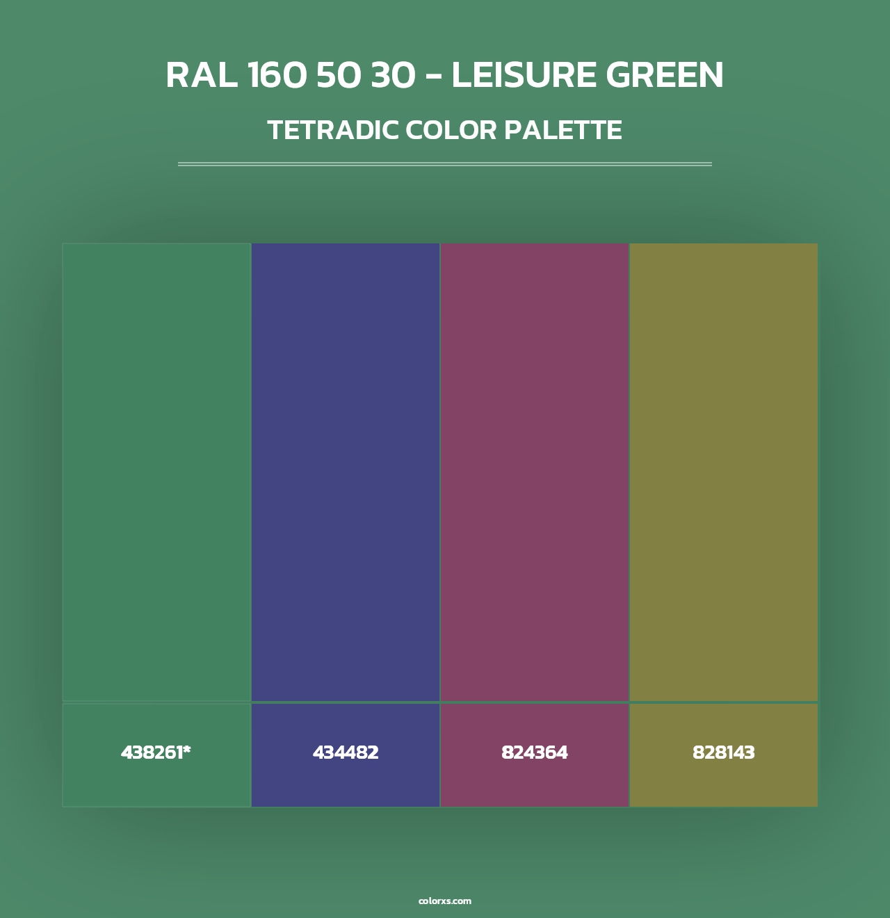 RAL 160 50 30 - Leisure Green - Tetradic Color Palette
