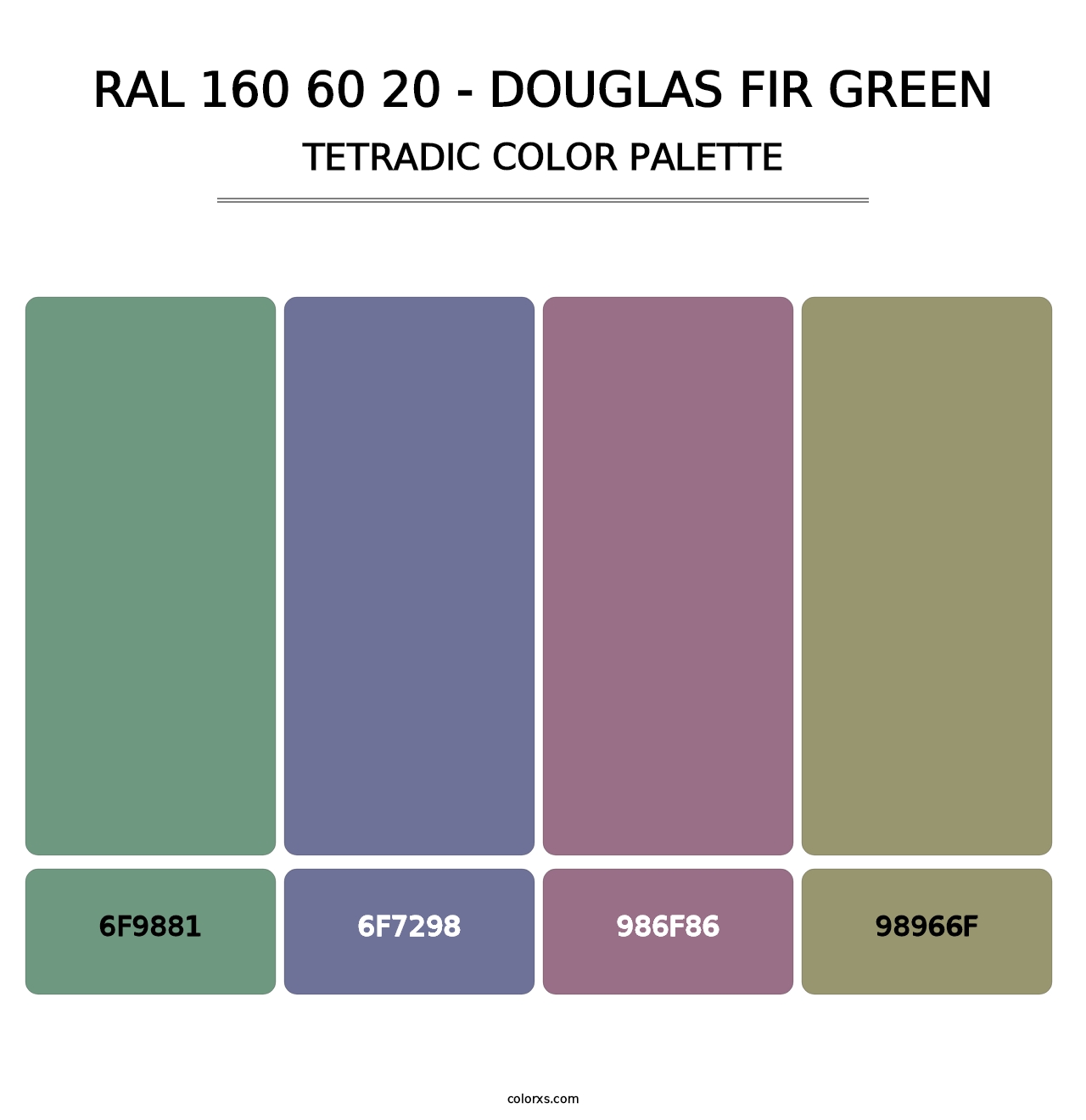 RAL 160 60 20 - Douglas Fir Green - Tetradic Color Palette