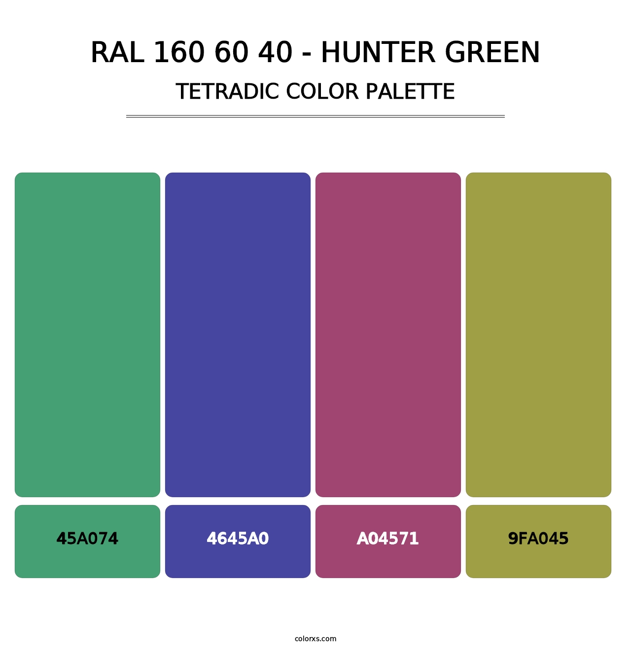 RAL 160 60 40 - Hunter Green - Tetradic Color Palette
