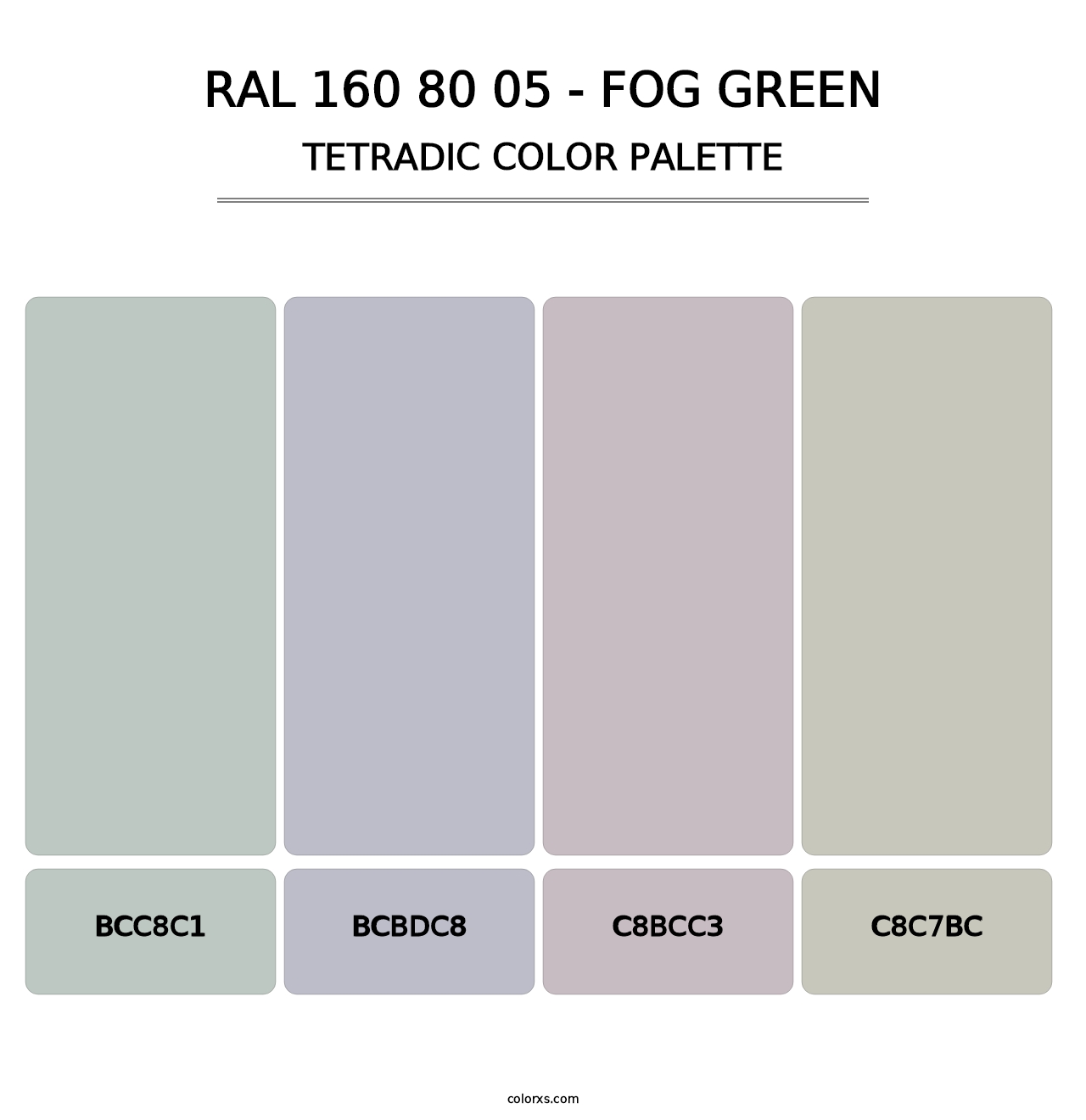 RAL 160 80 05 - Fog Green - Tetradic Color Palette