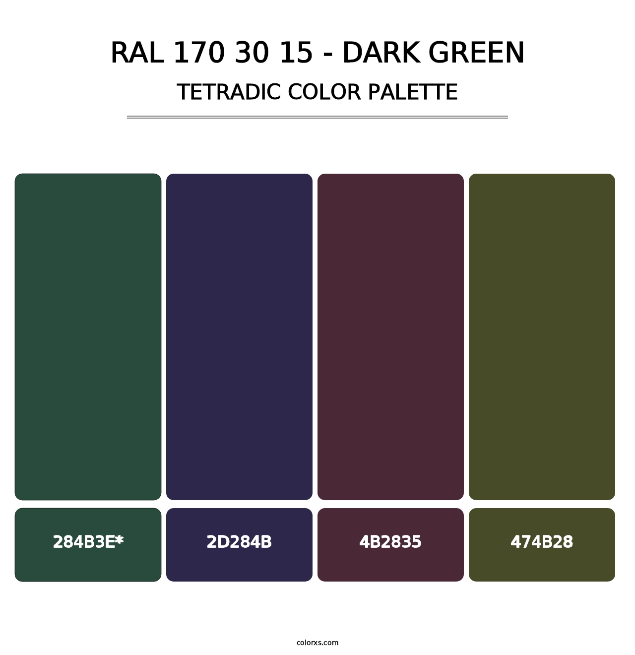 RAL 170 30 15 - Dark Green - Tetradic Color Palette