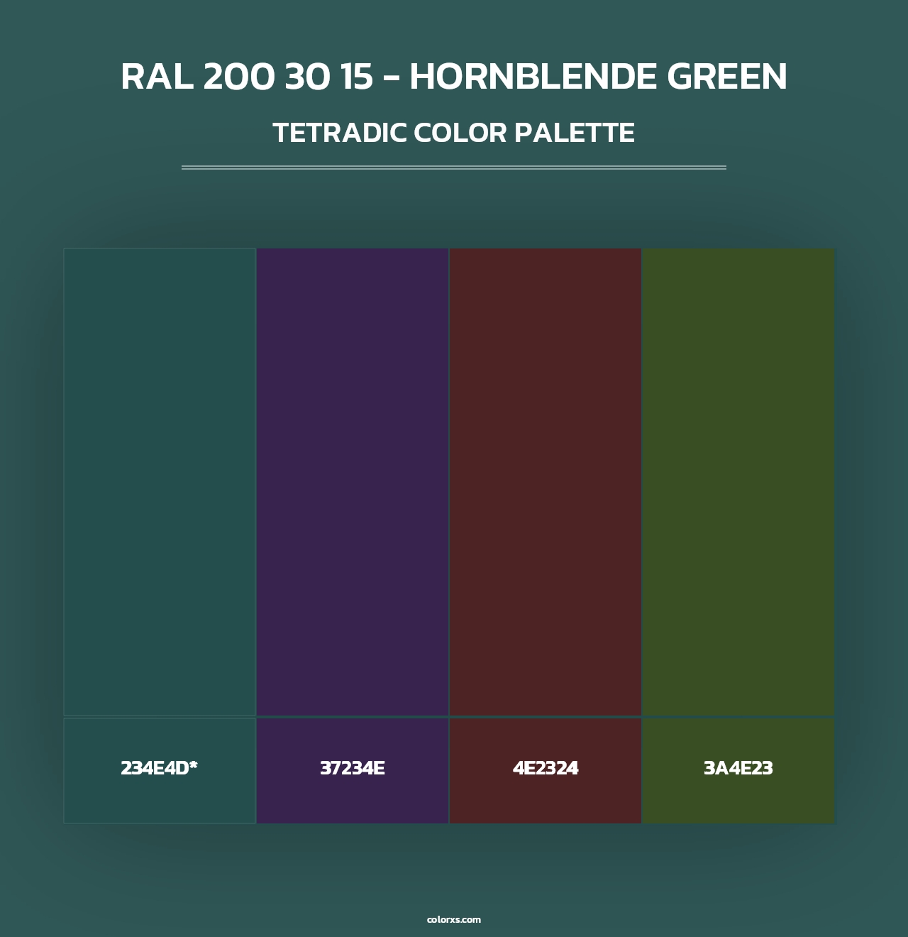 RAL 200 30 15 - Hornblende Green - Tetradic Color Palette