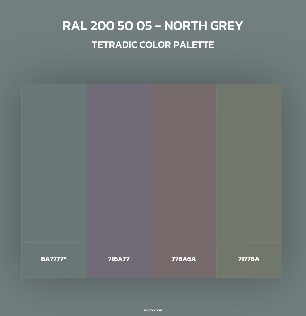 RAL 200 50 05 - North Grey - Tetradic Color Palette