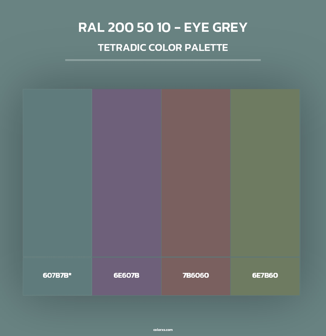 RAL 200 50 10 - Eye Grey - Tetradic Color Palette