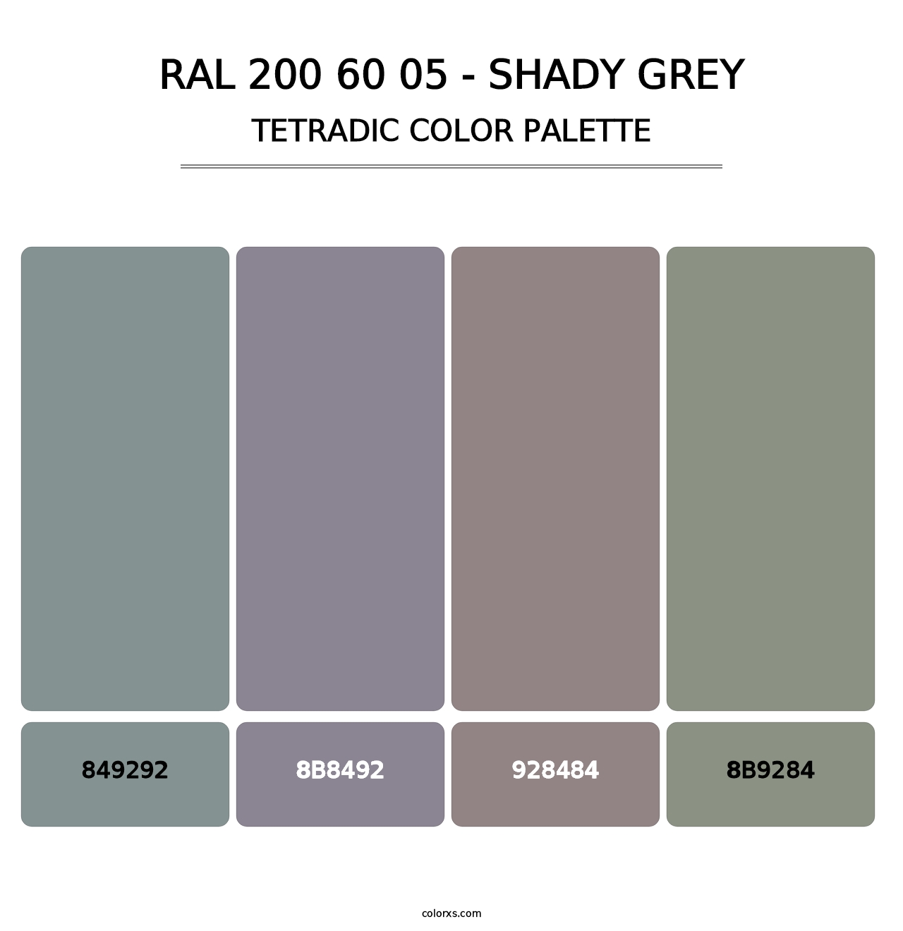 RAL 200 60 05 - Shady Grey - Tetradic Color Palette