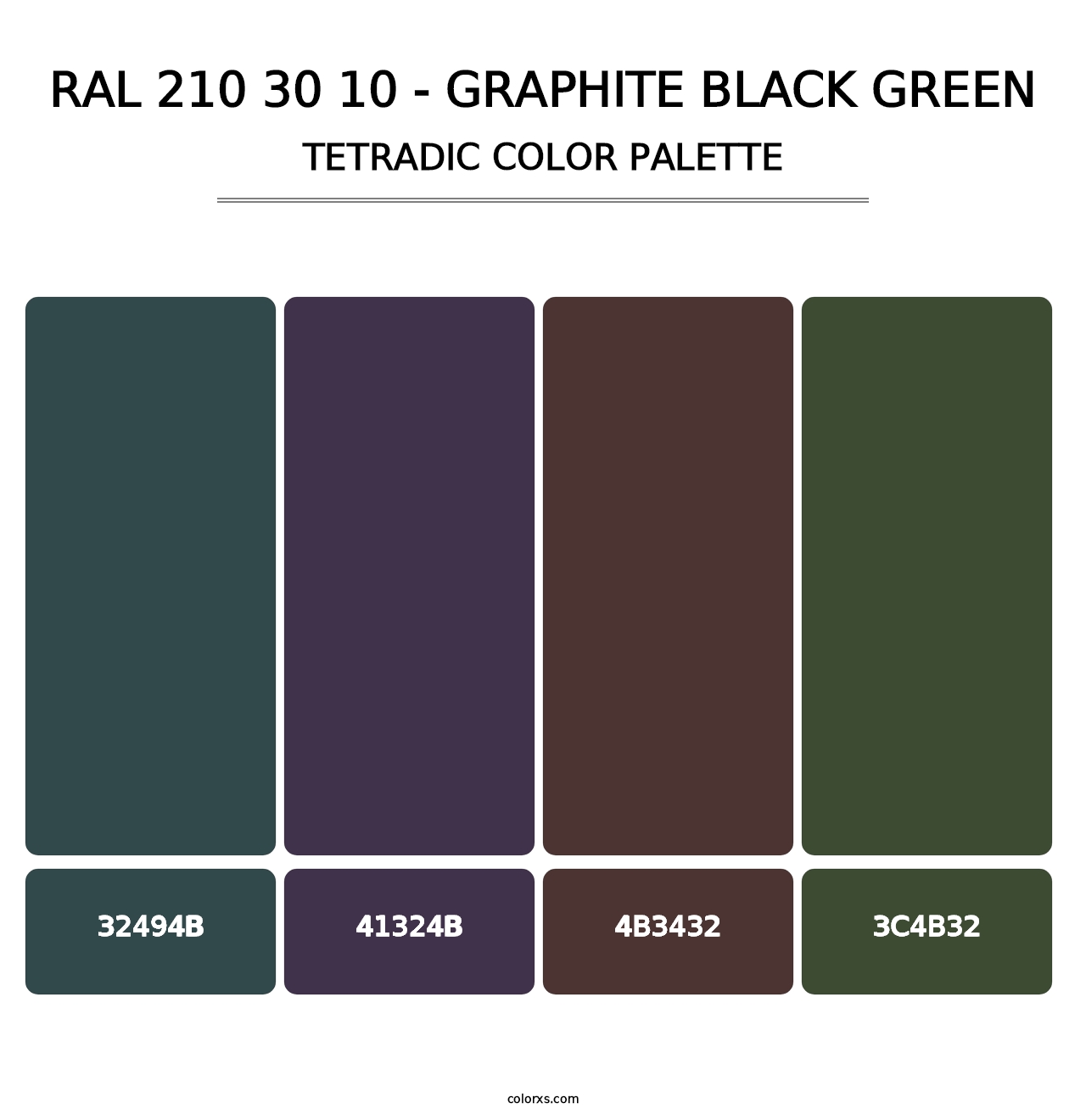 RAL 210 30 10 - Graphite Black Green - Tetradic Color Palette
