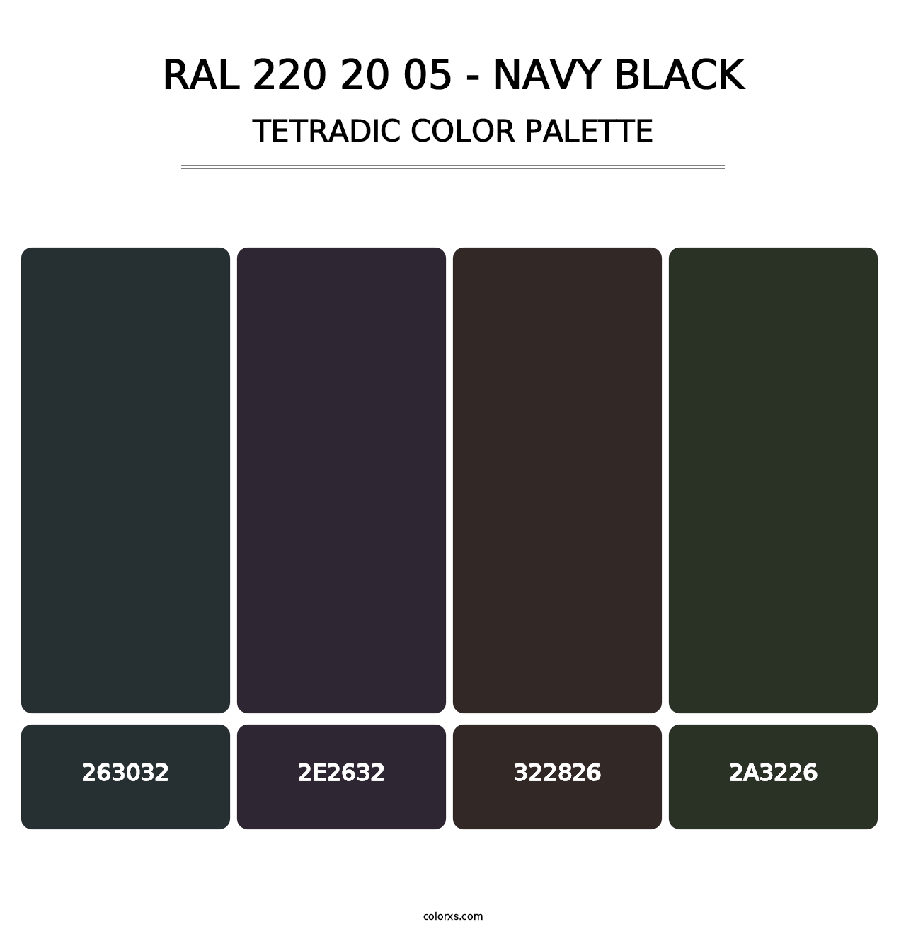 RAL 220 20 05 - Navy Black - Tetradic Color Palette
