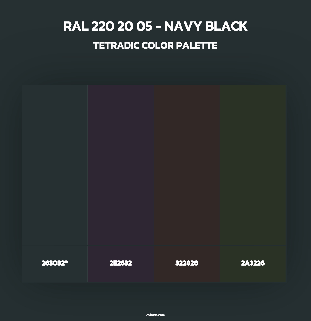 RAL 220 20 05 - Navy Black - Tetradic Color Palette