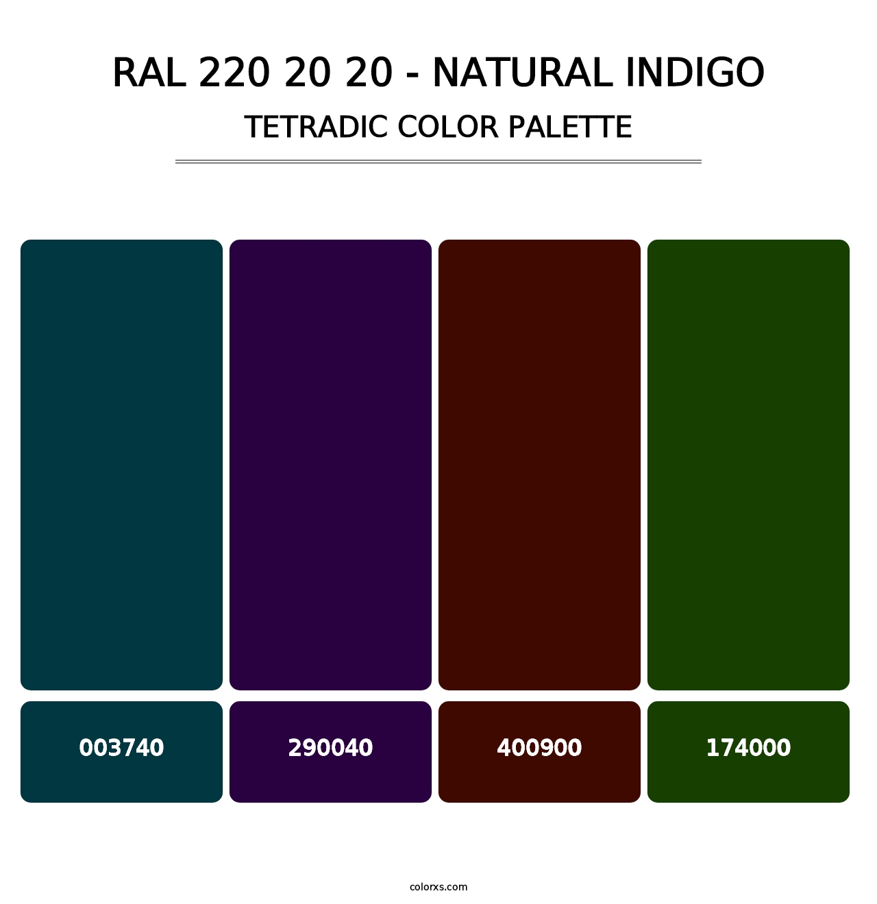 RAL 220 20 20 - Natural Indigo - Tetradic Color Palette