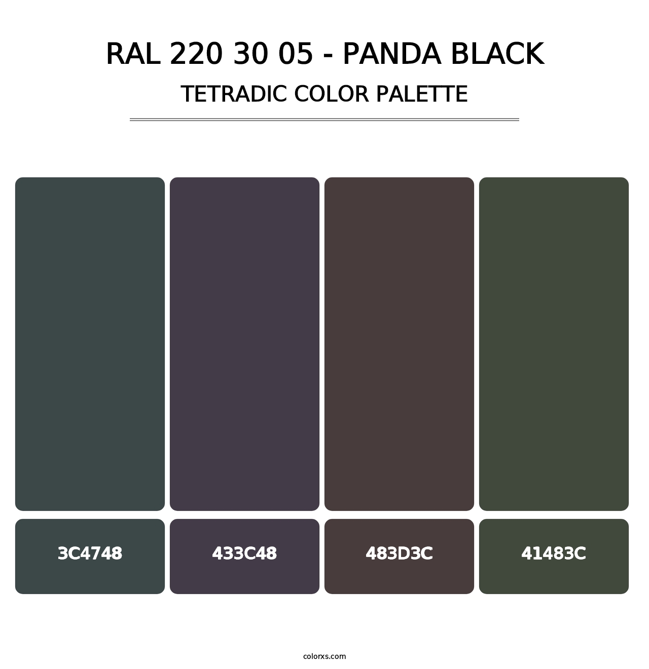 RAL 220 30 05 - Panda Black - Tetradic Color Palette