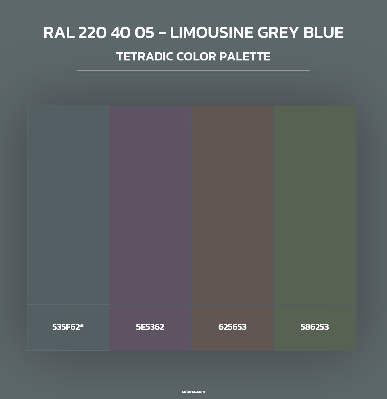 RAL 220 40 05 - Limousine Grey Blue - Tetradic Color Palette