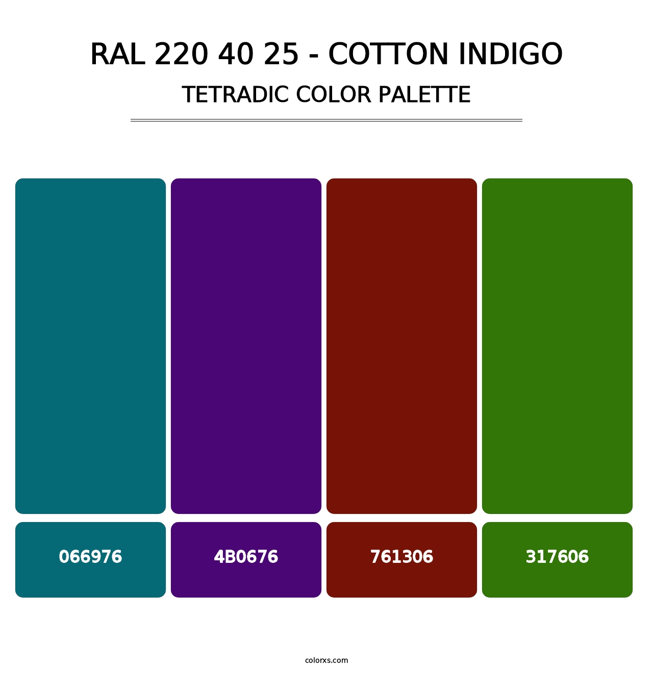 RAL 220 40 25 - Cotton Indigo - Tetradic Color Palette