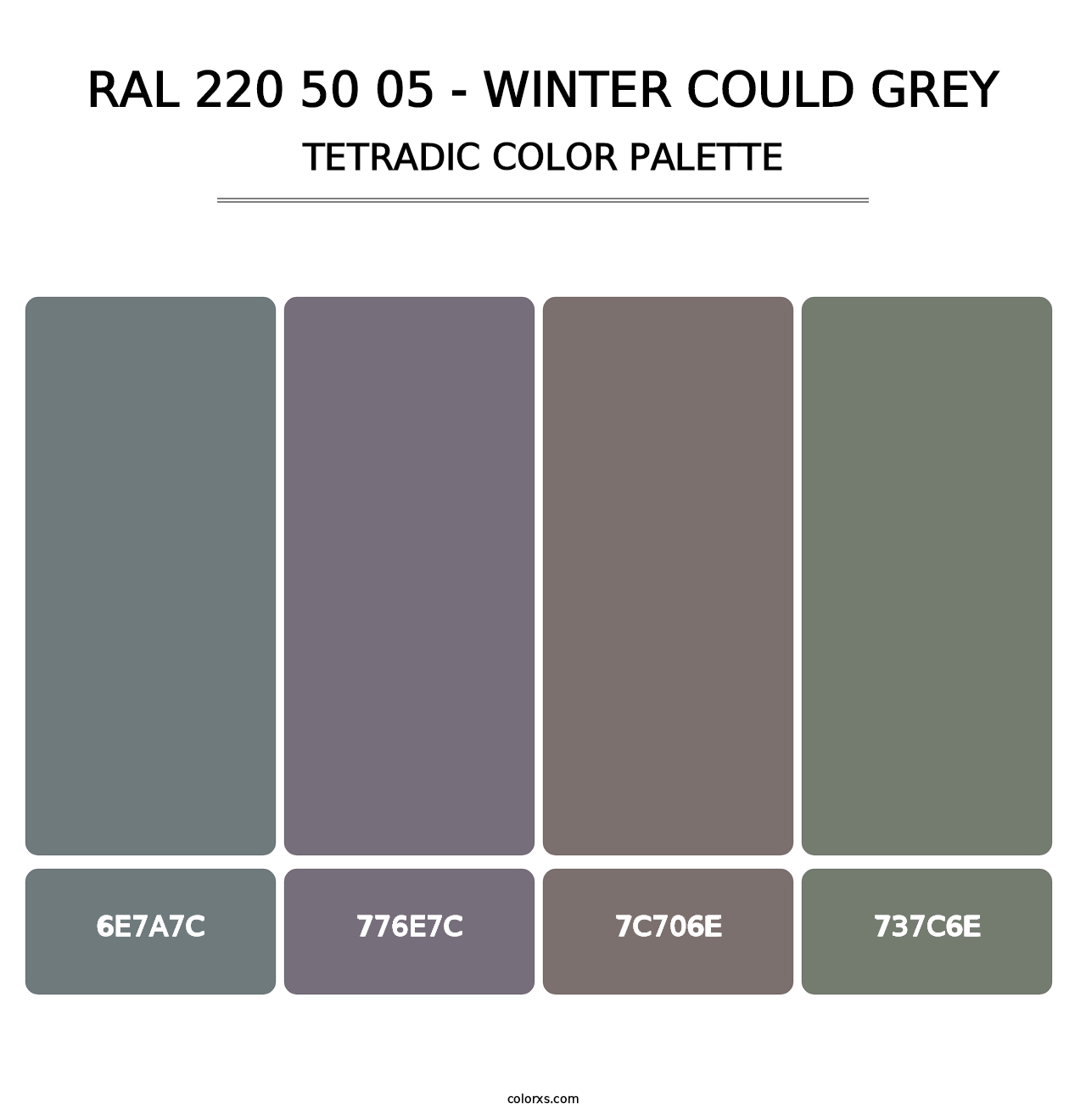 RAL 220 50 05 - Winter Could Grey - Tetradic Color Palette