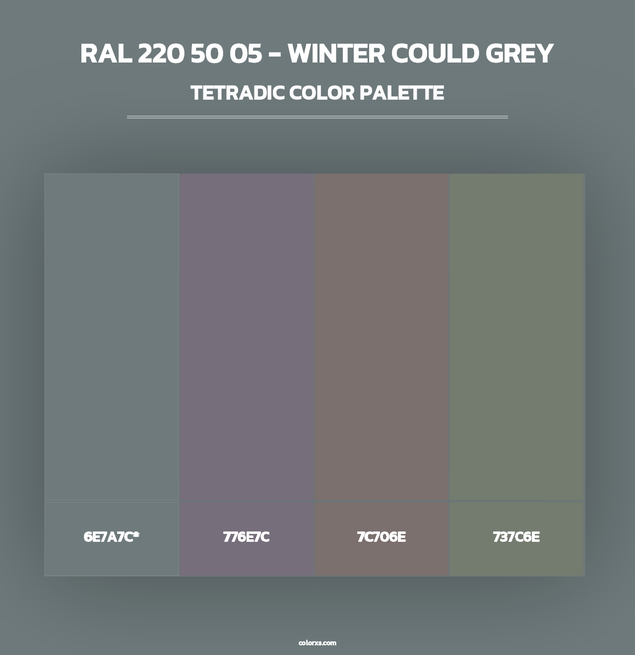 RAL 220 50 05 - Winter Could Grey - Tetradic Color Palette