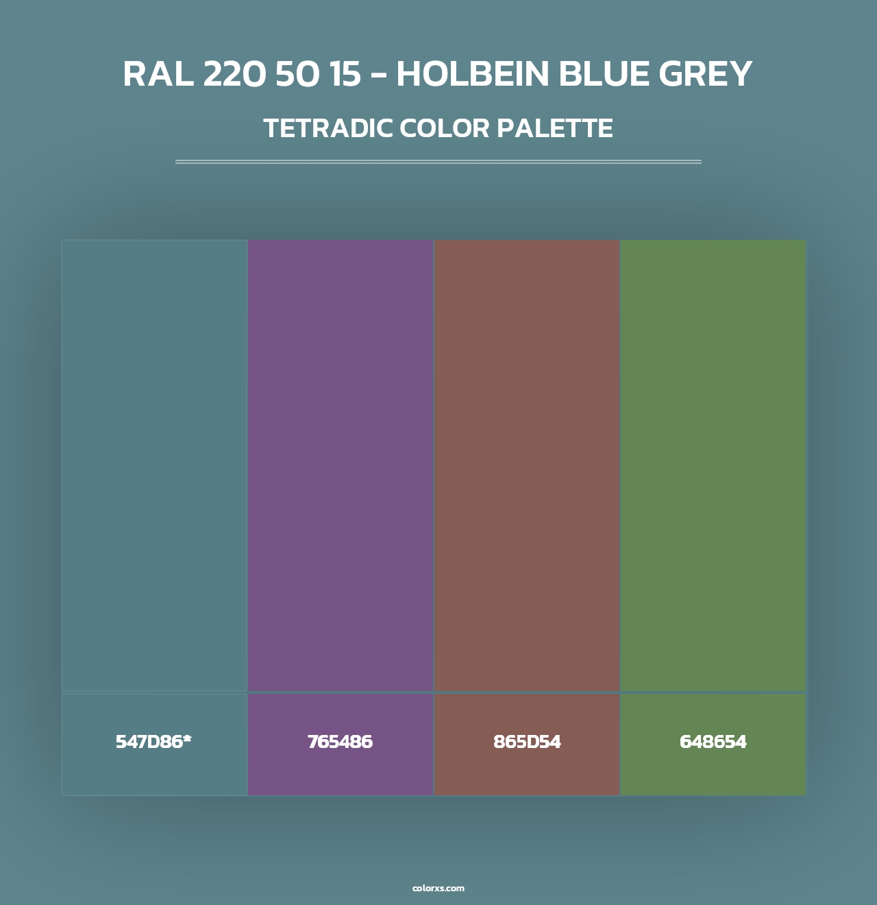 RAL 220 50 15 - Holbein Blue Grey - Tetradic Color Palette