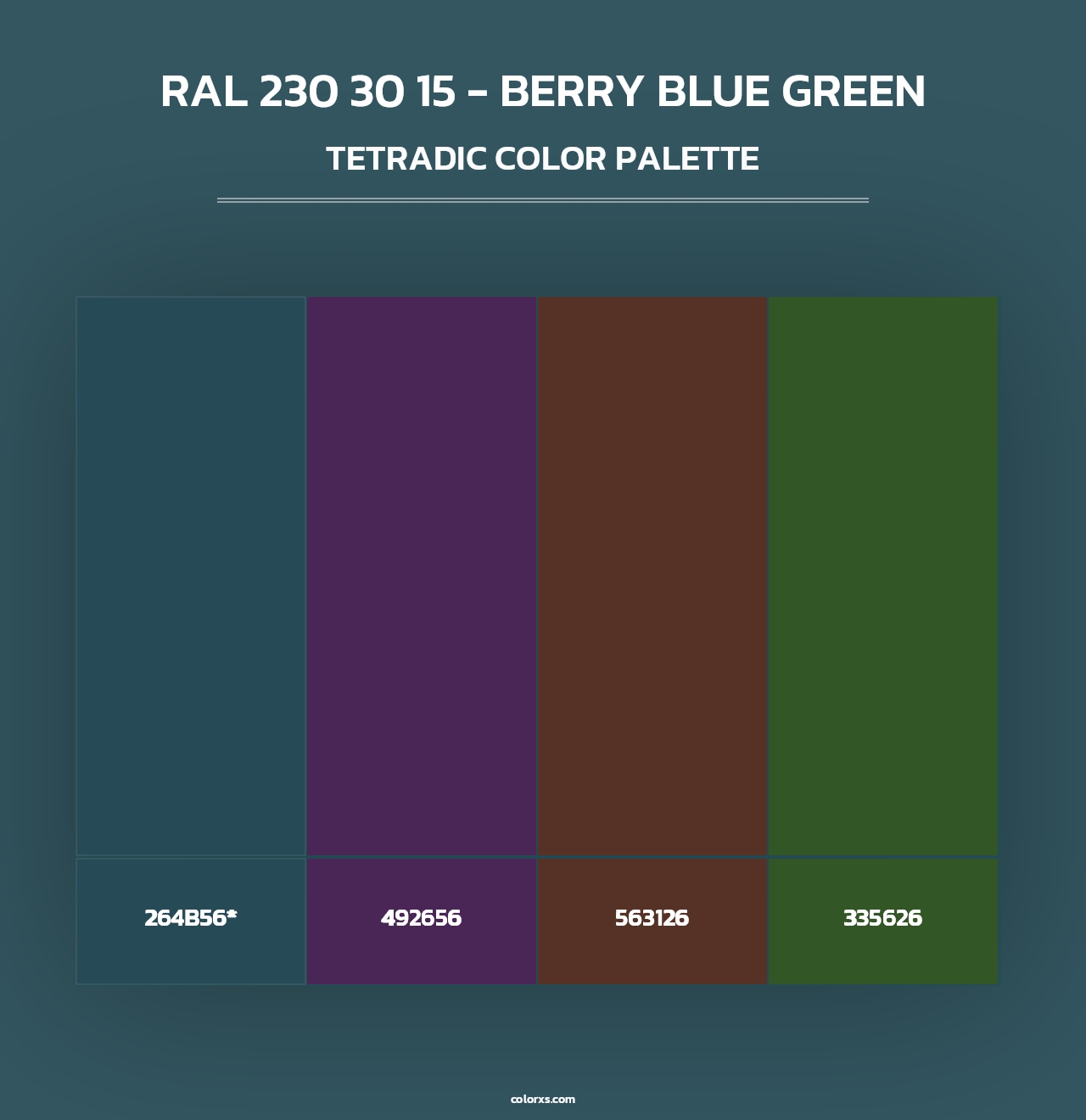 RAL 230 30 15 - Berry Blue Green - Tetradic Color Palette