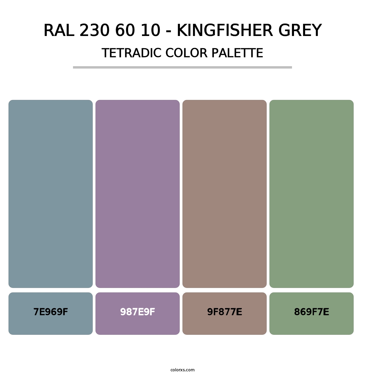 RAL 230 60 10 - Kingfisher Grey - Tetradic Color Palette