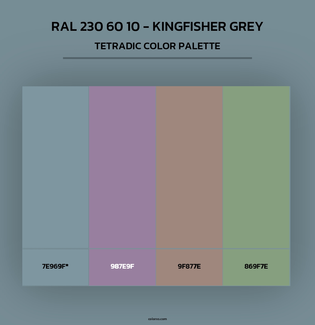 RAL 230 60 10 - Kingfisher Grey - Tetradic Color Palette