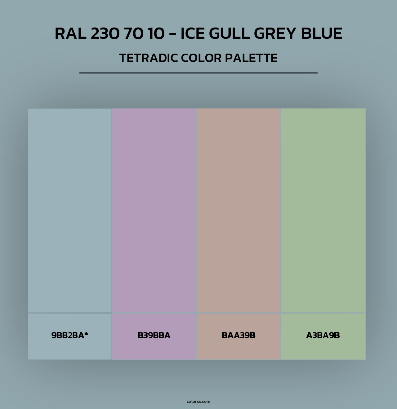 RAL 230 70 10 - Ice Gull Grey Blue - Tetradic Color Palette