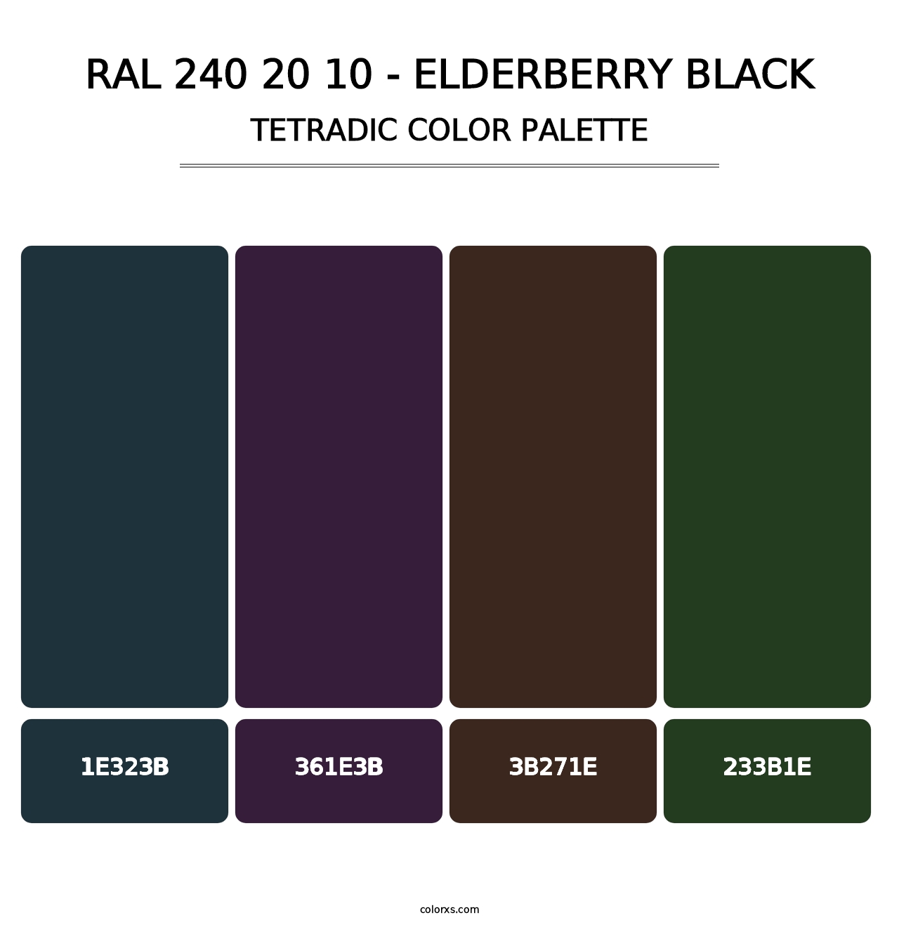RAL 240 20 10 - Elderberry Black - Tetradic Color Palette