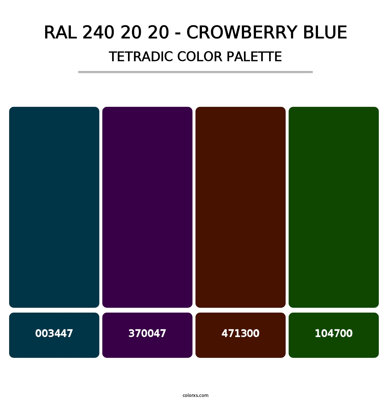 RAL 240 20 20 - Crowberry Blue - Tetradic Color Palette