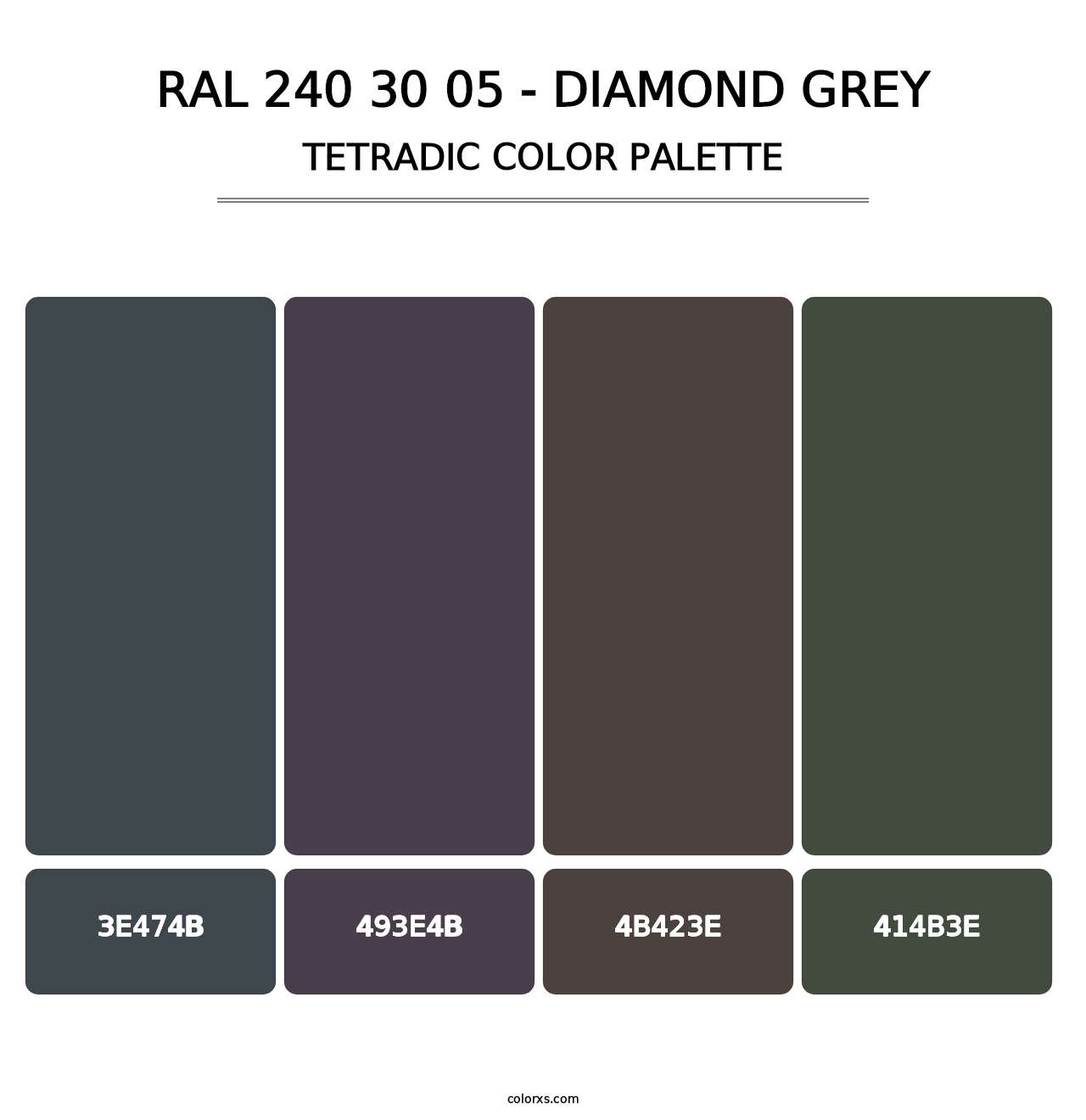 RAL 240 30 05 - Diamond Grey - Tetradic Color Palette