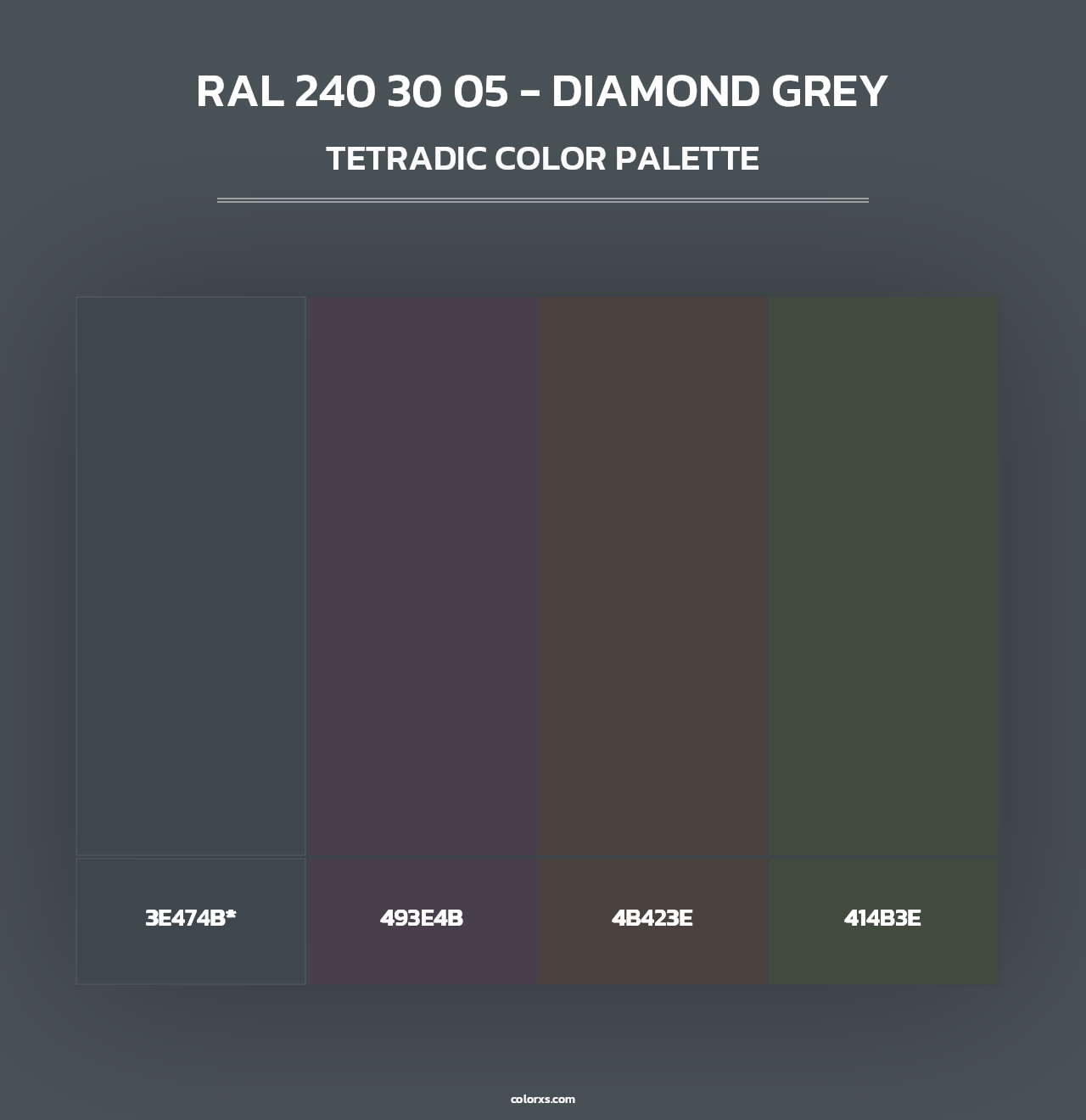 RAL 240 30 05 - Diamond Grey - Tetradic Color Palette