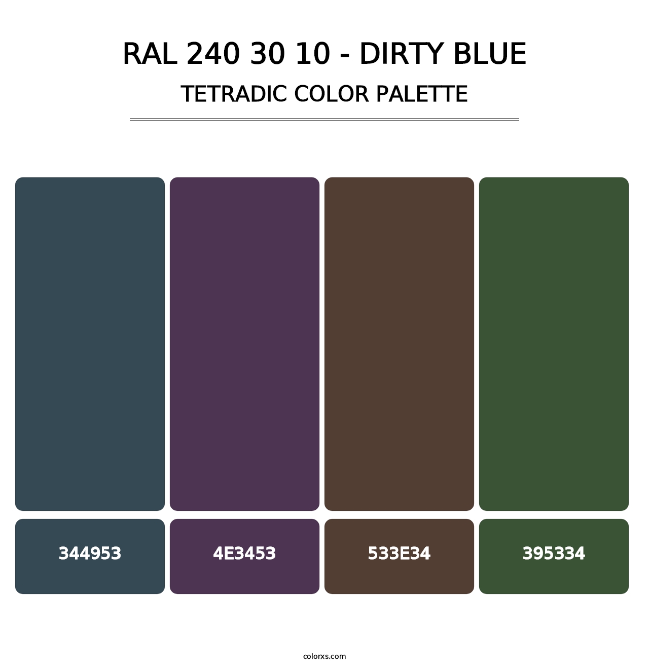RAL 240 30 10 - Dirty Blue - Tetradic Color Palette
