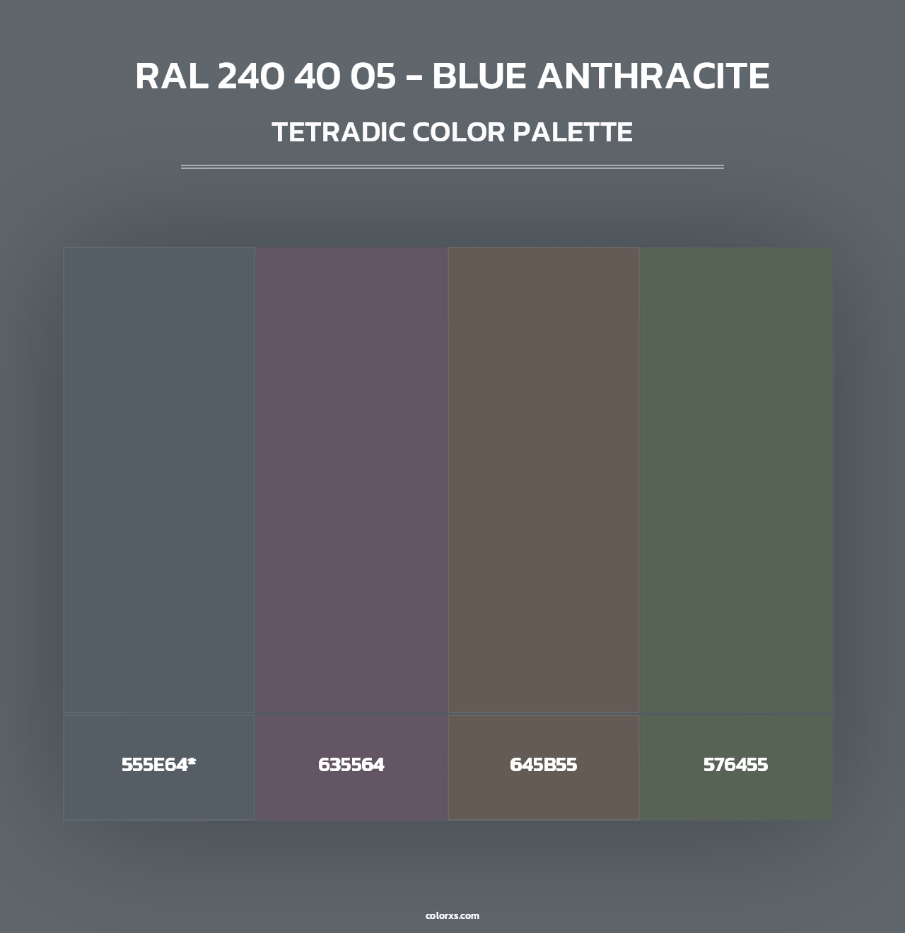 RAL 240 40 05 - Blue Anthracite - Tetradic Color Palette