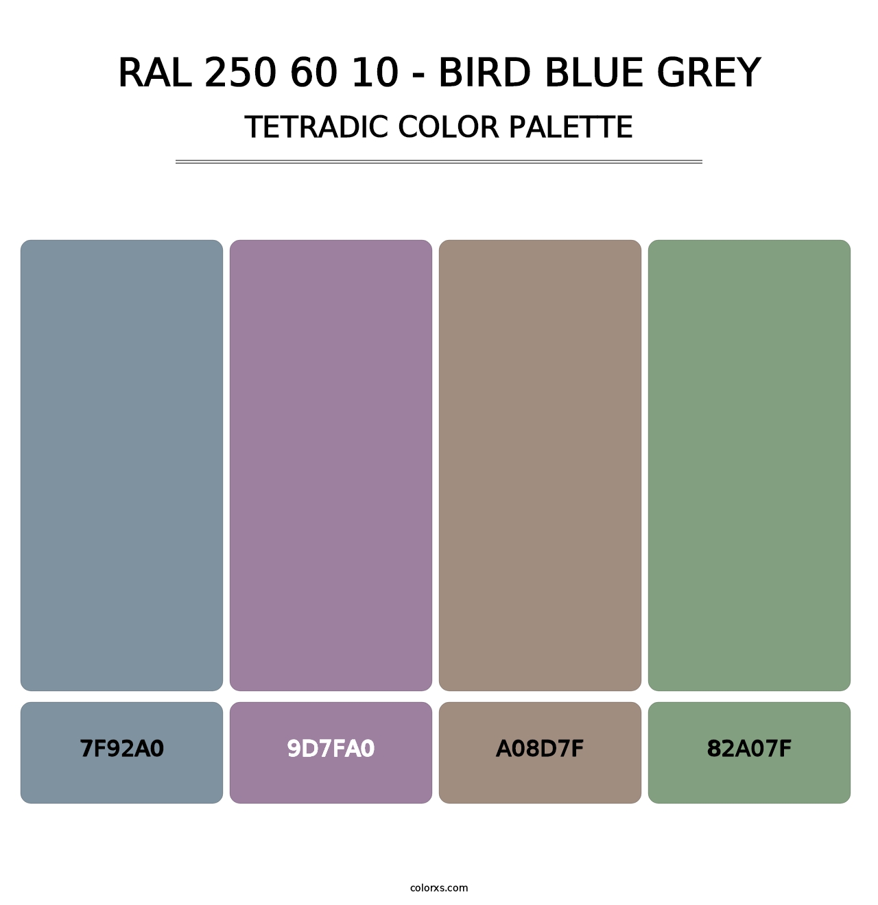 RAL 250 60 10 - Bird Blue Grey - Tetradic Color Palette