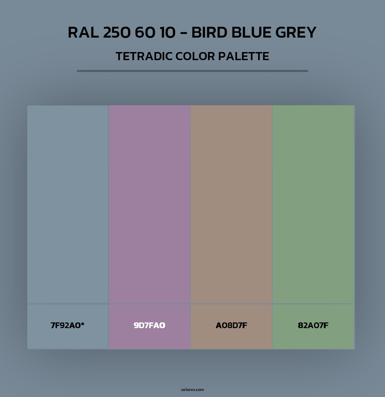 RAL 250 60 10 - Bird Blue Grey - Tetradic Color Palette