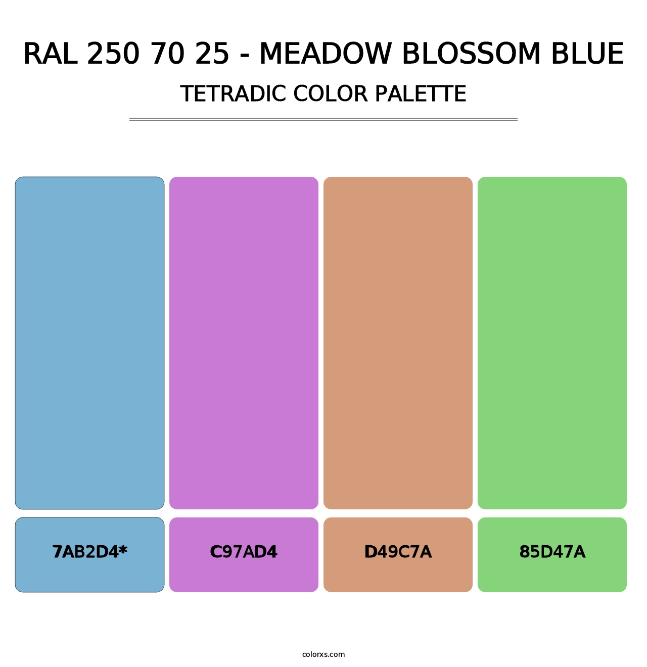 RAL 250 70 25 - Meadow Blossom Blue - Tetradic Color Palette
