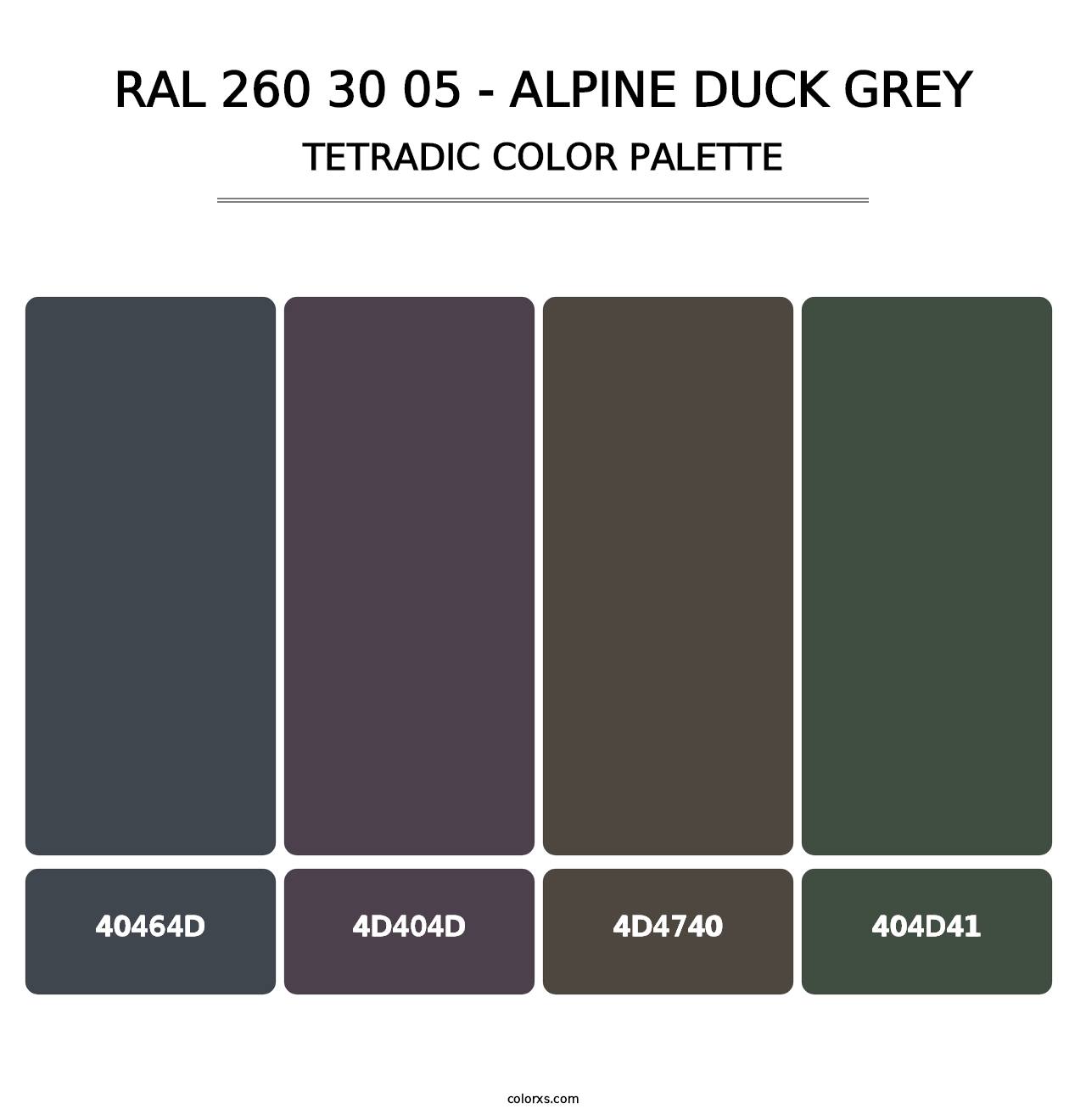 RAL 260 30 05 - Alpine Duck Grey - Tetradic Color Palette