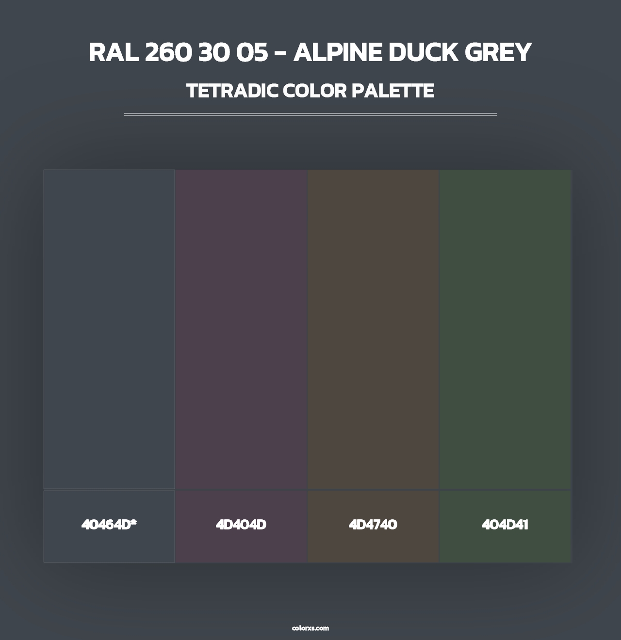 RAL 260 30 05 - Alpine Duck Grey - Tetradic Color Palette