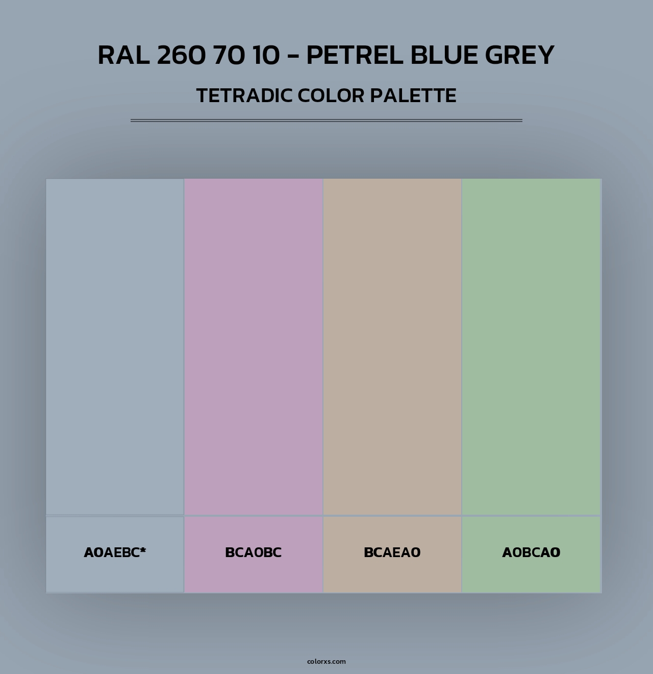 RAL 260 70 10 - Petrel Blue Grey - Tetradic Color Palette