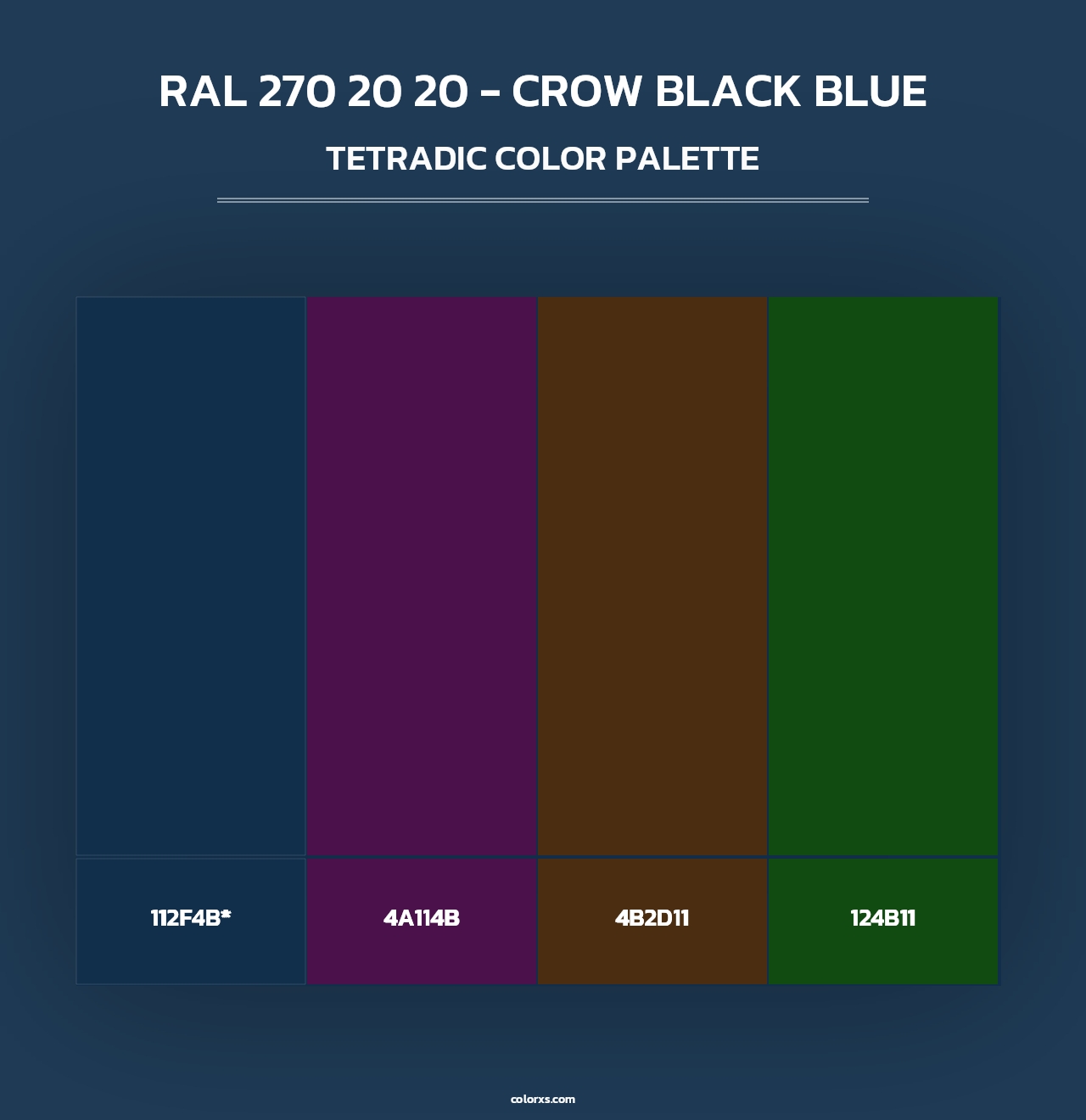 RAL 270 20 20 - Crow Black Blue - Tetradic Color Palette