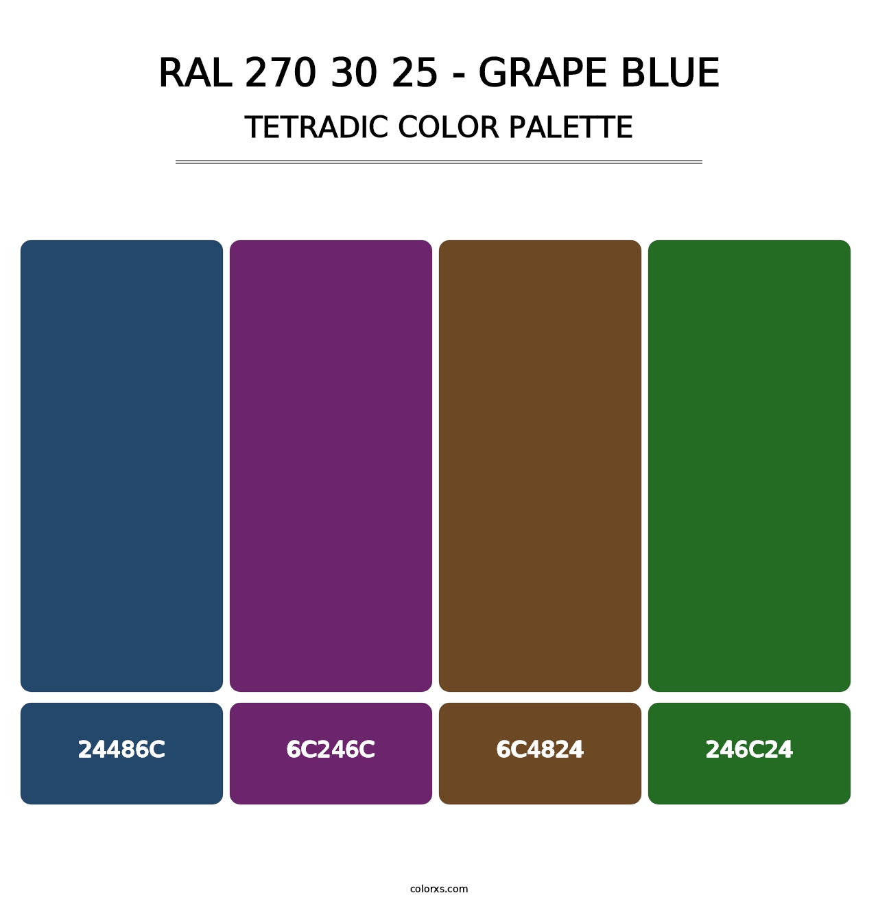 RAL 270 30 25 - Grape Blue - Tetradic Color Palette