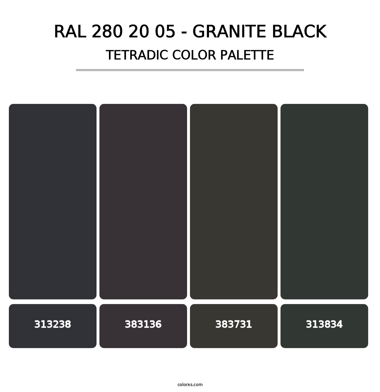 RAL 280 20 05 - Granite Black - Tetradic Color Palette
