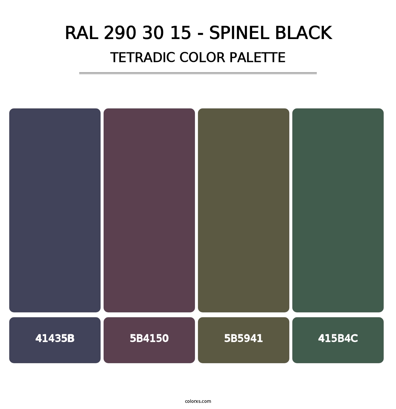 RAL 290 30 15 - Spinel Black - Tetradic Color Palette