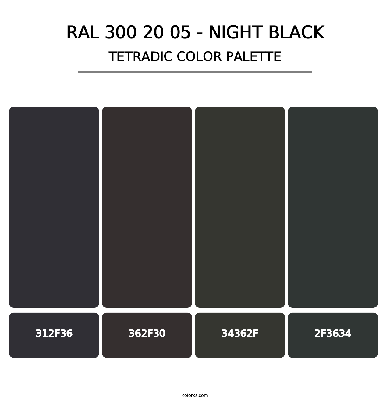 RAL 300 20 05 - Night Black - Tetradic Color Palette