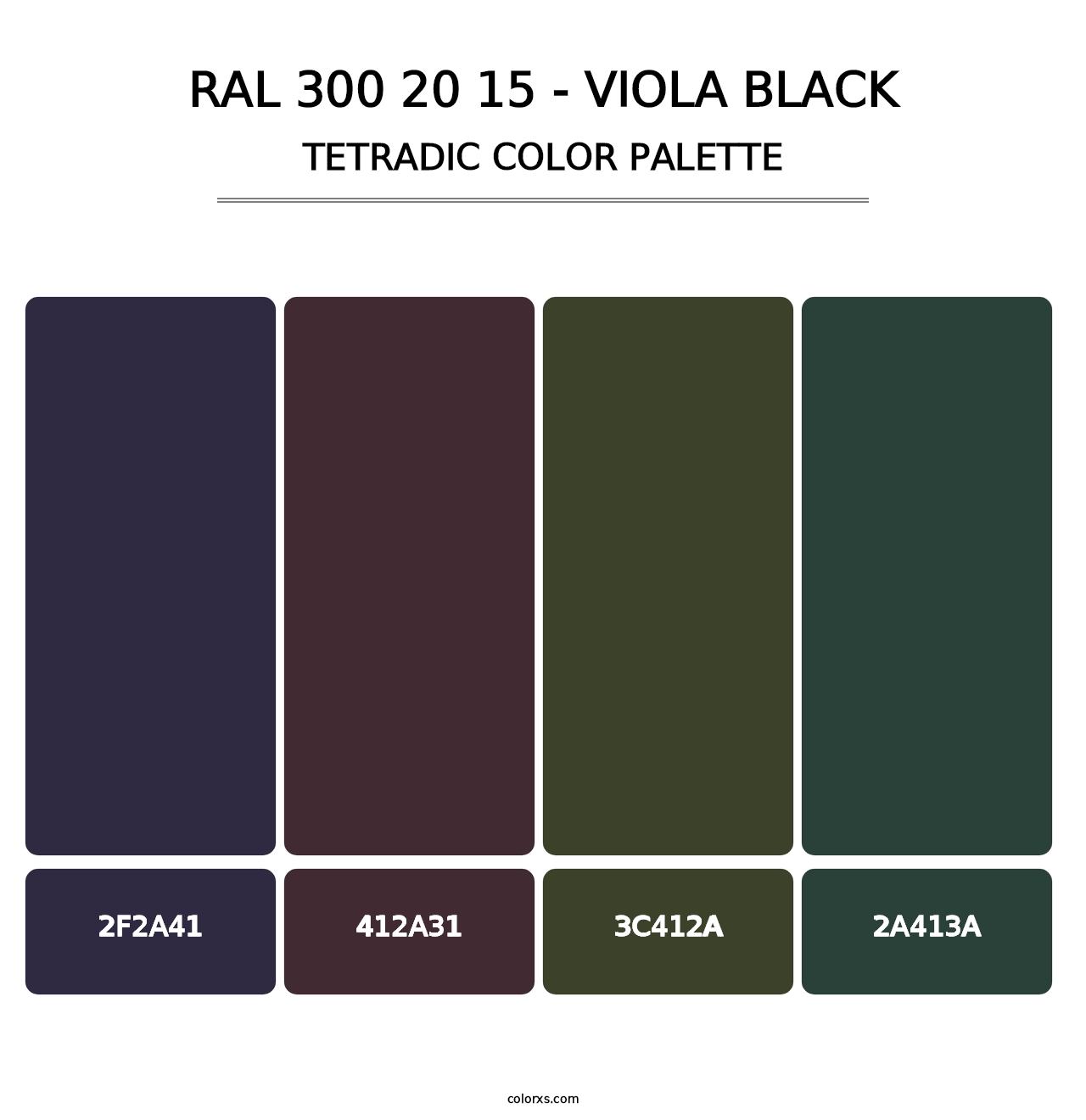RAL 300 20 15 - Viola Black - Tetradic Color Palette