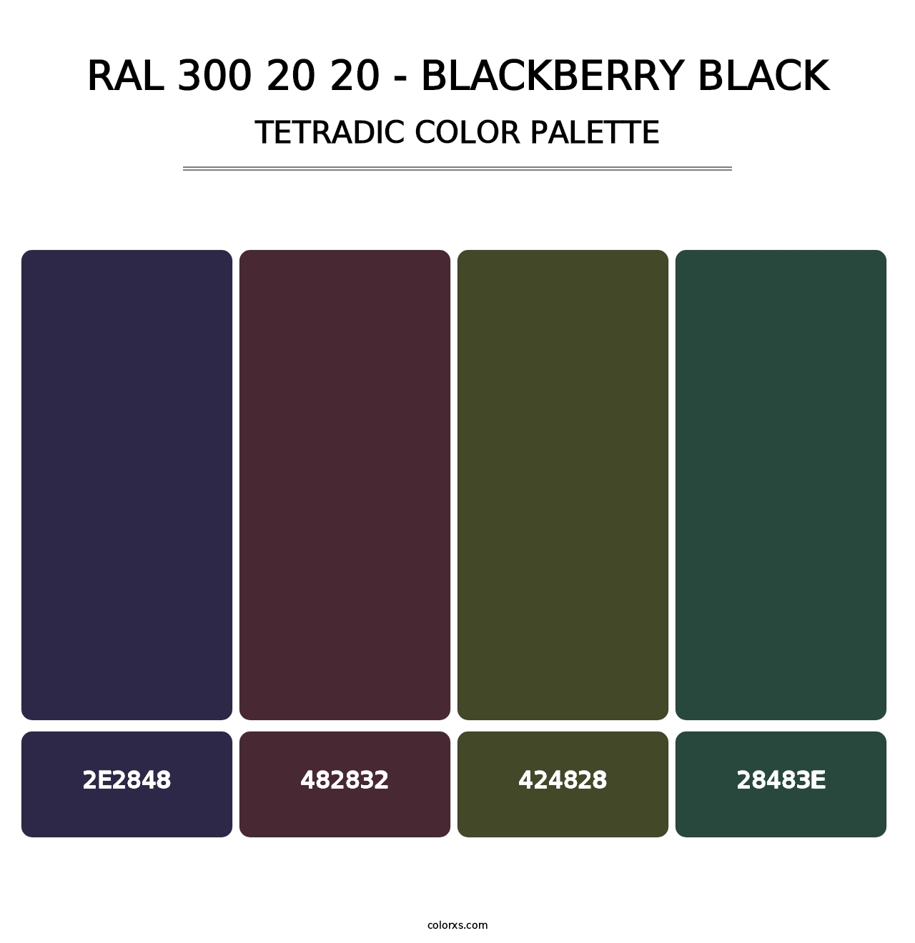 RAL 300 20 20 - Blackberry Black - Tetradic Color Palette