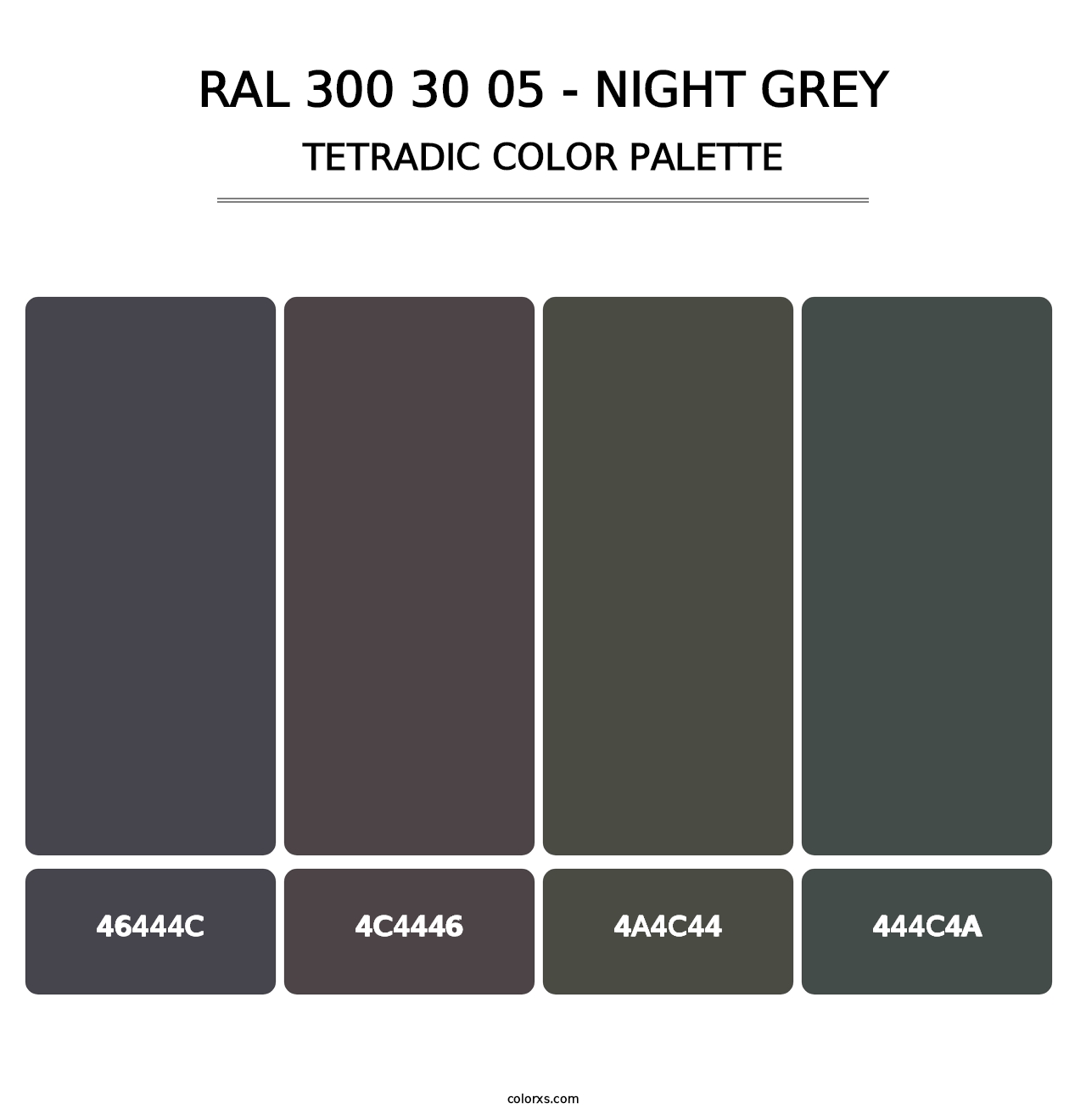 RAL 300 30 05 - Night Grey - Tetradic Color Palette