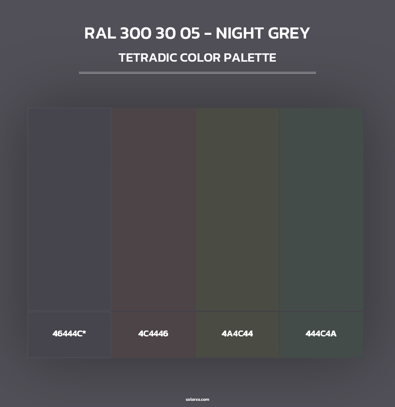 RAL 300 30 05 - Night Grey - Tetradic Color Palette