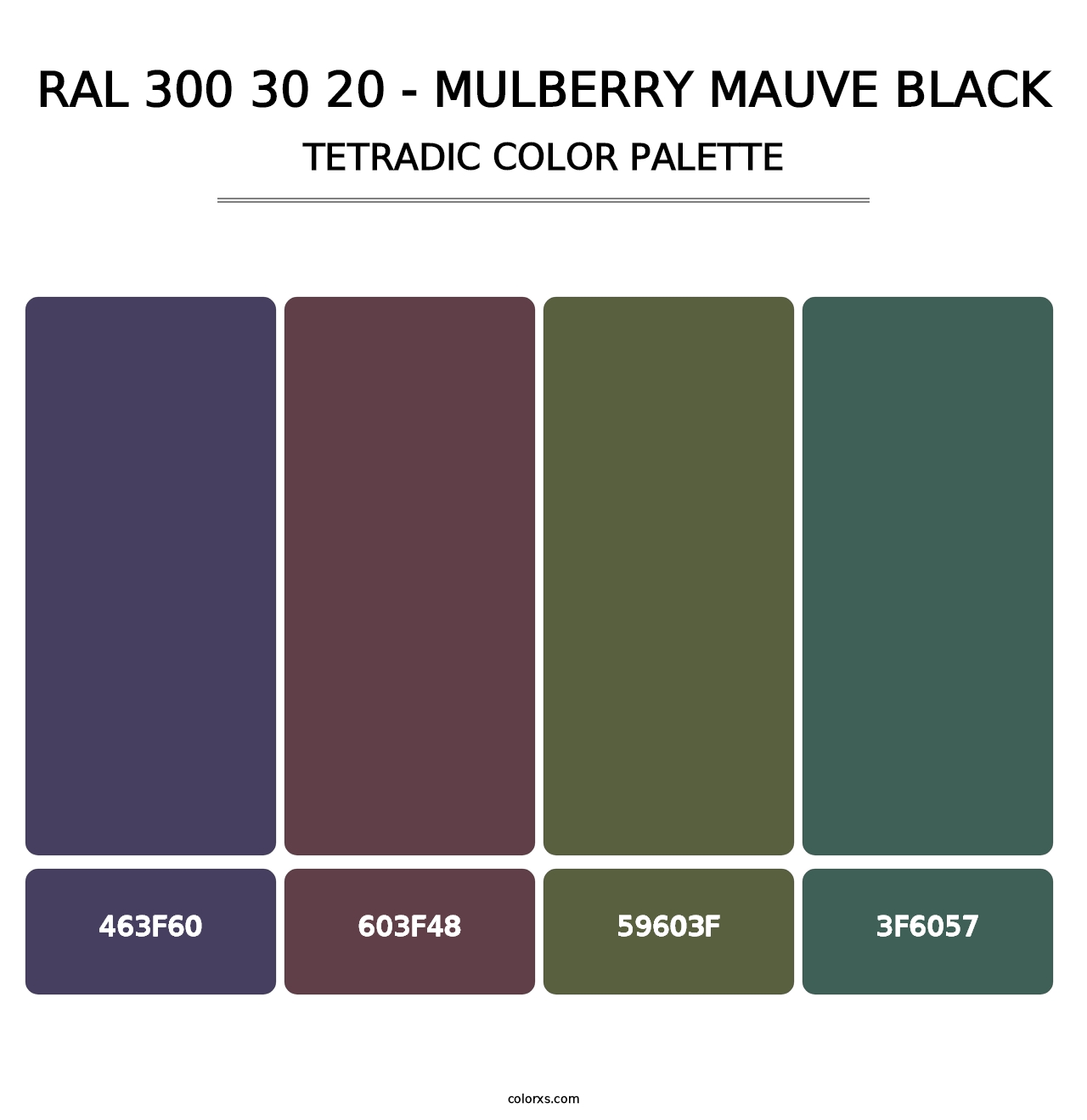 RAL 300 30 20 - Mulberry Mauve Black - Tetradic Color Palette