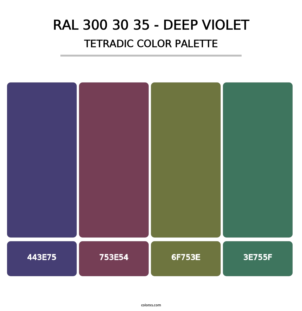 RAL 300 30 35 - Deep Violet - Tetradic Color Palette