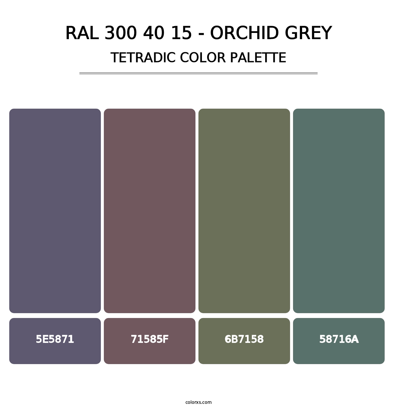 RAL 300 40 15 - Orchid Grey - Tetradic Color Palette