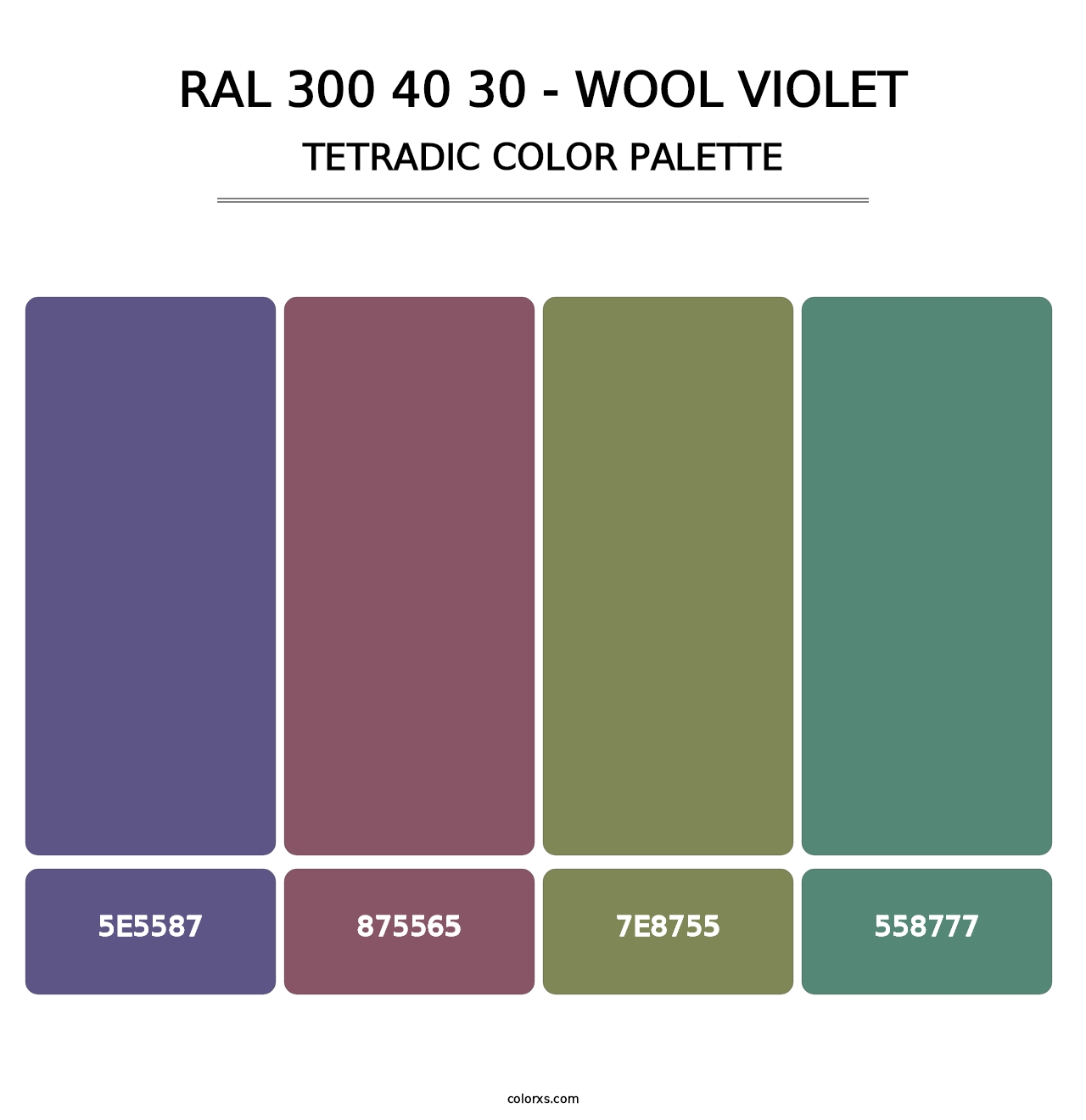 RAL 300 40 30 - Wool Violet - Tetradic Color Palette