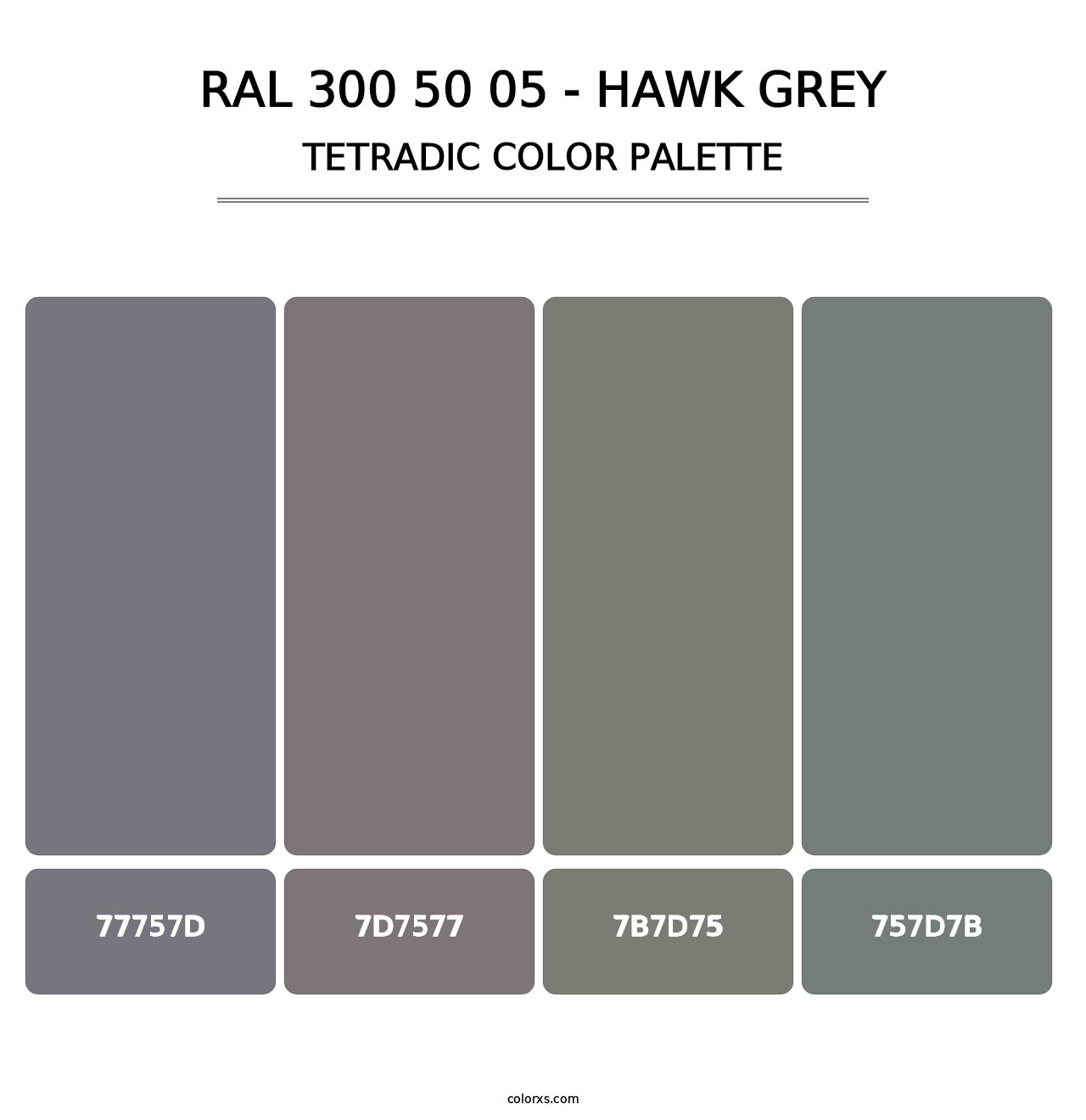 RAL 300 50 05 - Hawk Grey - Tetradic Color Palette